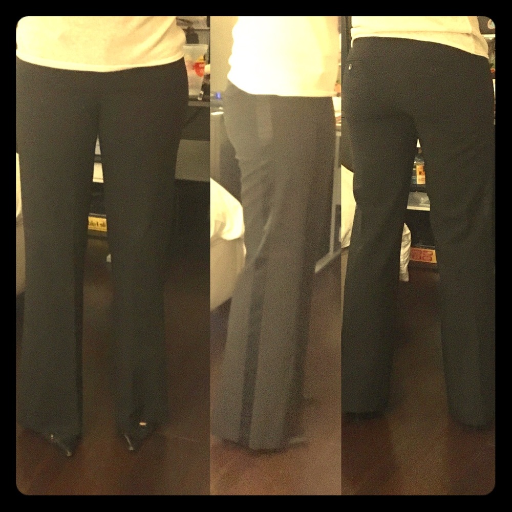 Laundry Tuxedo Bootcut Pant
